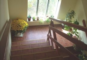 Dom za negu starih lica VIS