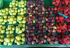 Ž.B. 021-Organik DOO