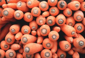 Ž.B. 021-Organik DOO