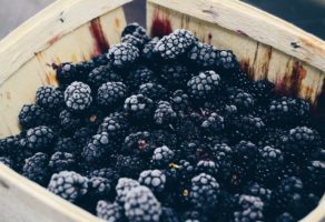 Ž.B. 021-Organik DOO