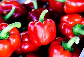 Ž.B. 021-Organik DOO