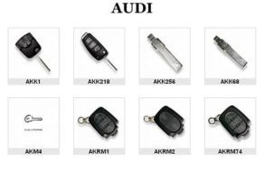 Bravarska Radnja Auto bravar RISTIĆ Beograd