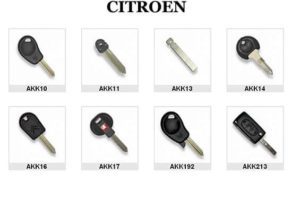 Bravarska Radnja Auto bravar RISTIĆ Beograd