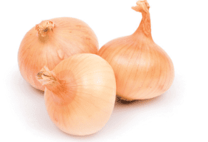 Seme povrća hibridi PAN SEED DOO Novi Sad