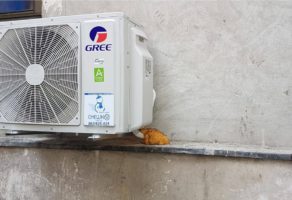 Servis rashladnih uredjaja SNESKO 52 – Uzice