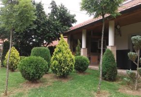 Pavlović Garden-Uredjenje Dvorišta