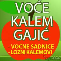 Voćne sadnice Gajić
