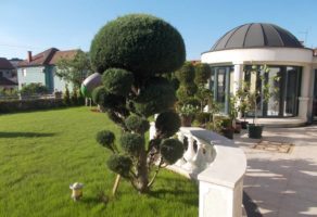 Pavlović Garden-Uredjenje Dvorišta