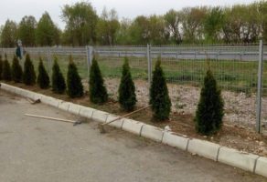 Održavanje zelenih površina AKI