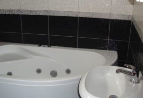 Vila Minić