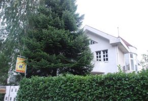 Vrtić Veselo Dvorištance