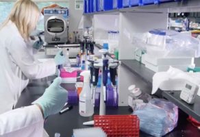 Laboratorija Vorgić