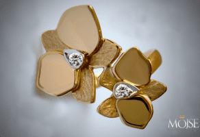 Juvelir Mojse