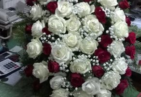 Pogrebne usluge NARCIS