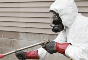 Deratizacija, dezinsekcija, dezinfekcija Niš-EKO DIV