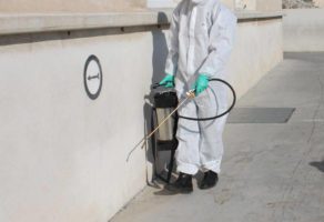 Deratizacija, dezinsekcija, dezinfekcija Niš-EKO DIV