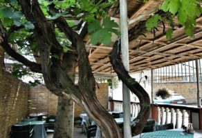 Kafana STARA PROMENADA