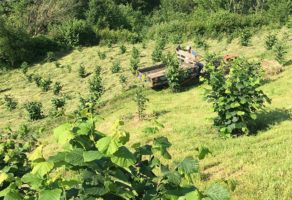 Bošnjaković Agrar – Agrikultura i profesionalni alati