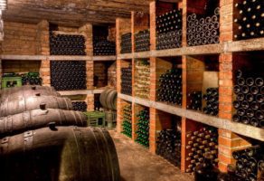 Vinarija Podrum DAMJANOVIĆ Aleksandrovac