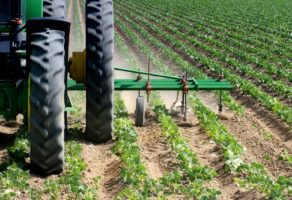 IQ Patent-Projektovanje i izrada poljoprivrednih mašina Subotica