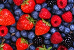 Aerofruti D.O.O. – Otkup i prodaja voća i povrća