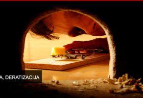 AGROBIRO – DEZINFEKCIJA, DEZINSEKCIJA, DERATIZACIJA – SOMBOR