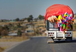 Transport robe u Srbiji Vladian