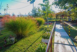 KUĆA DOBRA DESPOTOVIĆ – DOM ZA STARE