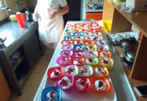 KUĆA DOBRA DESPOTOVIĆ – DOM ZA STARE