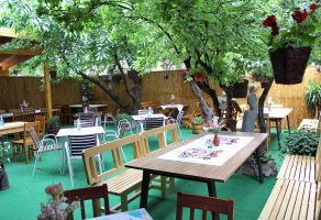 Najbolja ovčetina DAGI PLUS Niš