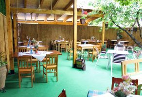 Najbolja ovčetina DAGI PLUS Niš