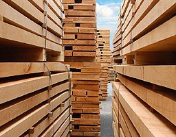 MIĆIĆ – Promet, proizvodnja, sušenje i prevoz rezane građe