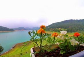 Vila Arena – planina Tara – Zaovine