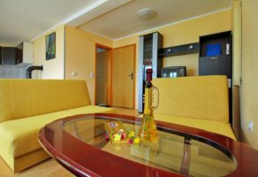 Vila Arena – planina Tara – Zaovine