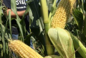 FEED & SEED TECHNOLOGIES DOO
