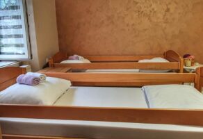 Dom za smeštaj odraslih i starijih Kuća nege Subotica