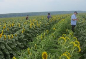 FEED & SEED TECHNOLOGIES DOO