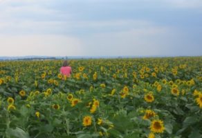 FEED & SEED TECHNOLOGIES DOO