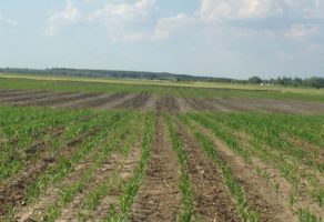 FEED & SEED TECHNOLOGIES DOO