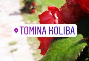 TOMINA KOLIBA Restoran i organizacija proslava Kraljevo