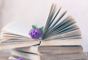 STUDIO APSTRAKT Prevodilačke usluge i časovi engleskog jezika Beograd