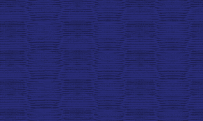 Sportsko društvo TATAMI Beograd