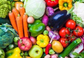 Prerada i pasterizacija voća i povrća Green Garden