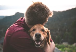 Veterinarska ambulanta Futog PVA KOŠAR