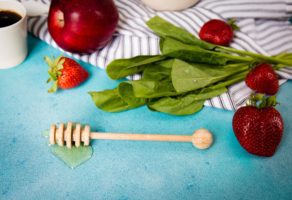 Prerada i pasterizacija voća i povrća Green Garden