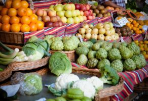 Prerada i pasterizacija voća i povrća Green Garden