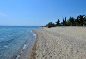 Turistička agencija Sombor EUROLINE PEKEZ