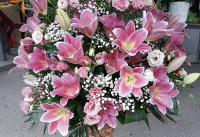 Prodaja pogrebne opreme i prevoz SUZA Ub