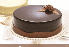 Sirovine za torte i kolače HANI INTERNATIONAL