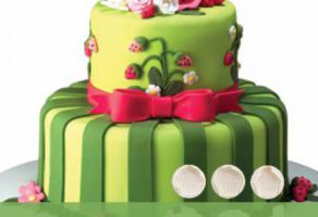 Sirovine za torte i kolače HANI INTERNATIONAL